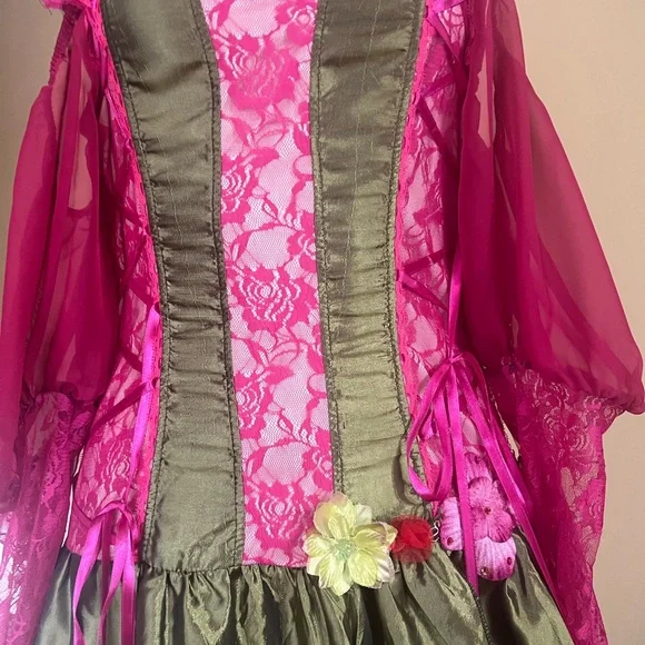 Fairy Queen Adult Pink and Green Lace Dress - Picture 2 of 14